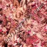 Colour:J