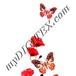 Colour:J