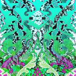 Colour:C