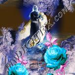Colour:F