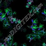 Colour:F