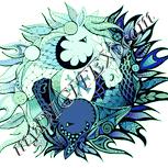 Colour:K