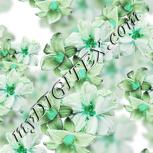 Colour:C