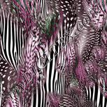 Colour:B