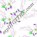 Colour:D