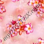Colour:J
