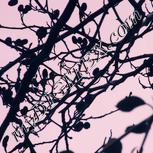 Colour:J