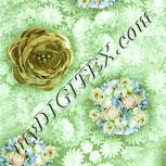 Colour:K