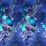 Colour:F