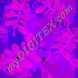 Colour:F