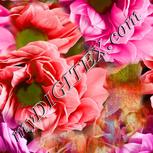 Colour:A