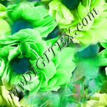 Colour:C