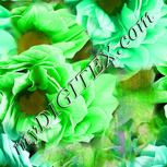 Colour:D