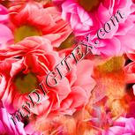 Colour:J