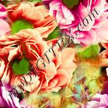 Colour:K