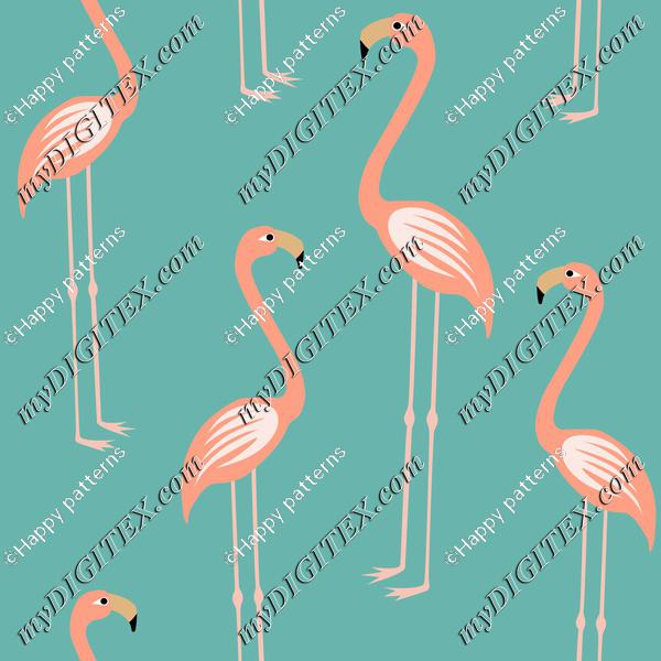 Pink flamingospink flaminosFlamingos living coral