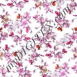 Colour:B