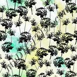 Colour:B