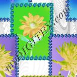 Colour:F