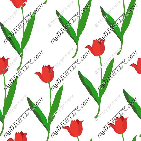 Red tulips on white