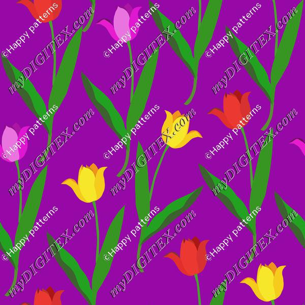 Colorful tulips on purple