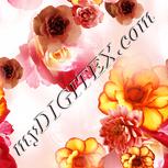 Colour:J