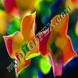 Colour:A