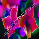 Colour:B