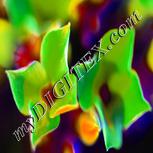 Colour:D