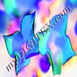 Colour:F