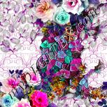 Colour:B