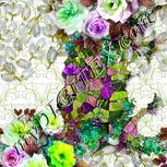 Colour:D