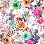 Colour:B