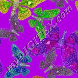 Colour:D