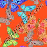 Colour:F