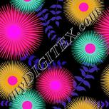 Colour:B