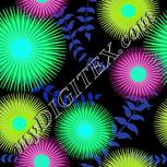 Colour:C