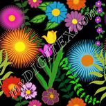 Colour:A