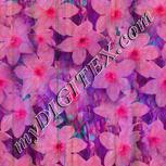 Colour:B