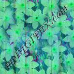 Colour:C