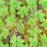 Colour:D