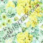 Colour:K