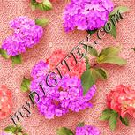Colour:J
