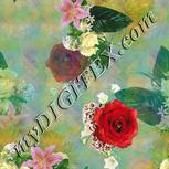Colour:A