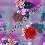 Colour:B