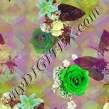 Colour:D