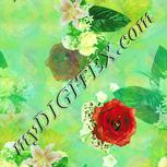 Colour:K