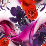 Colour:B