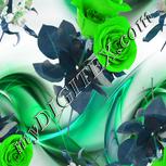 Colour:C