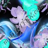 Colour:F